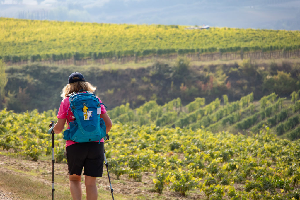 Walking the Via Francigena